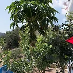 Sunshine Center * קרפאטוס