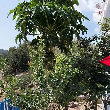 Sunshine Center * Karpathos Town (Pigadia)