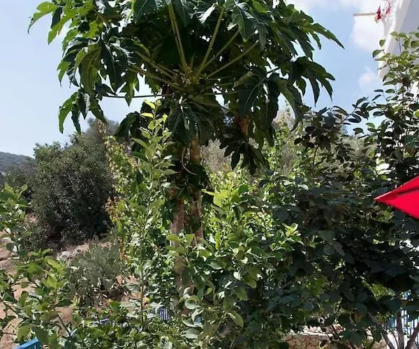 Sunshine Center * Κάρπαθος